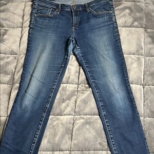 AG Adriano Goldschmied Straight Leg Blue Jeans